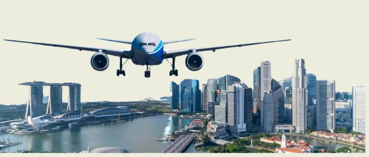Dịch vụ Mua hộ hàng Singapore, order hàng Singapore về Việt Nam nhanh chóng, tiết kiệm