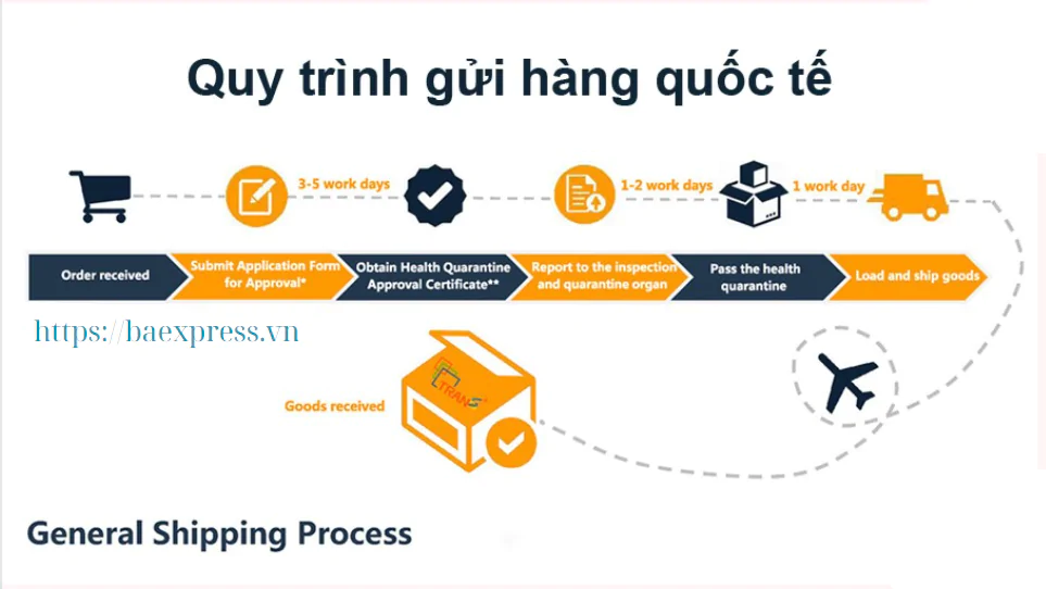 quy trình chuyển phát nhanh đi Mỹ quy trình chuyển phát nhanh đi Mỹ